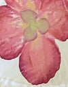 Ivoire avec orchidée rose