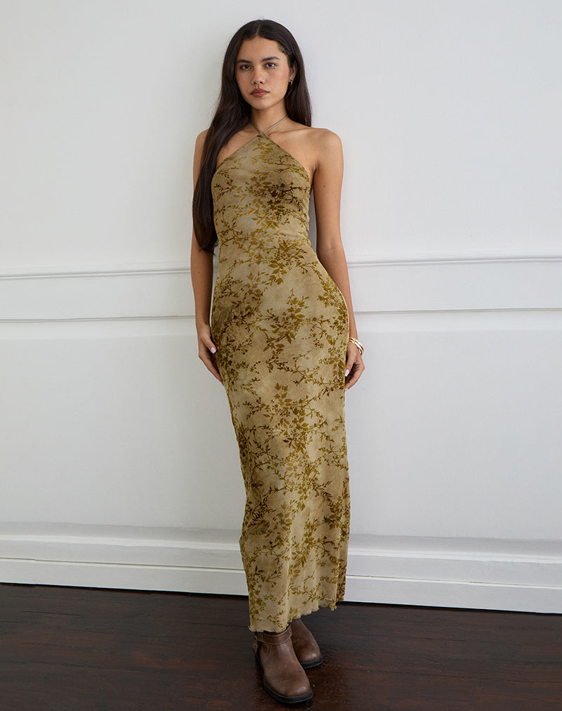 Image de Rabika Maxi Dress in Burn Velvet Green
