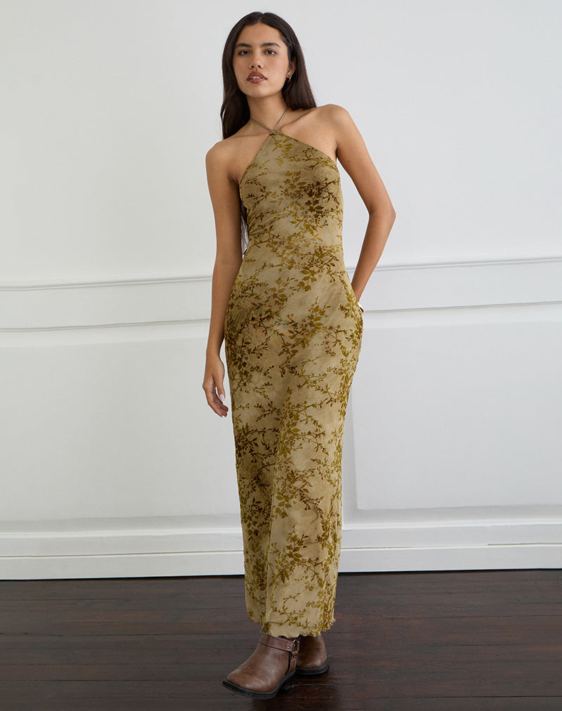 Image de Rabika Maxi Dress in Burn Velvet Green