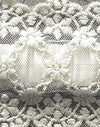 Blanc avec dentelle festonnée
