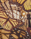  Papillon d'or