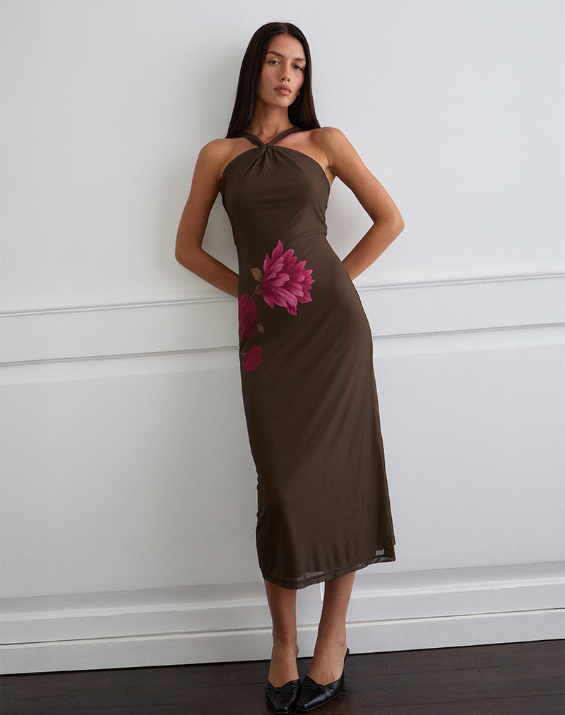 Image of Silvra Halterneck Midi Dress in Brown with Pink Flower Print