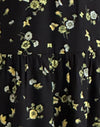 Citron et citron vert noir