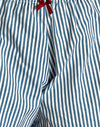 Petite rayure verticale bleue