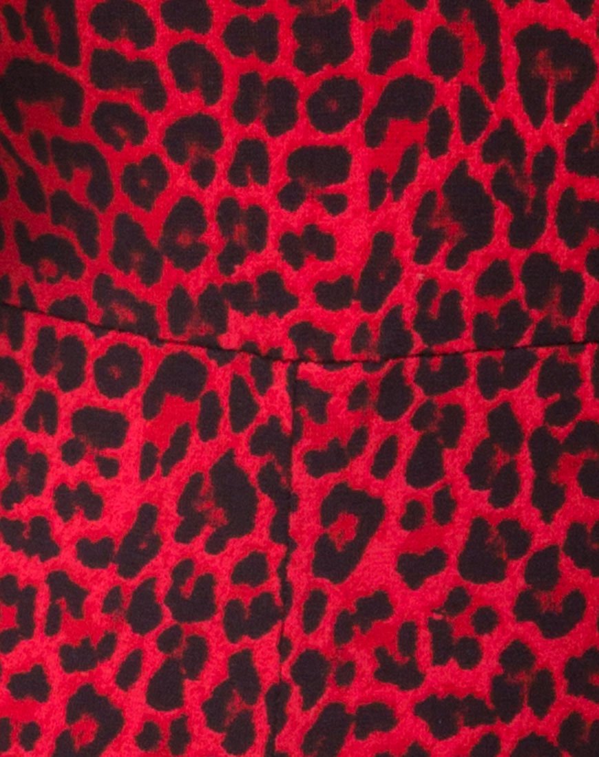 Image de l'Acro Unitard en Coloured Animal