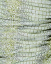 Croc citron vert