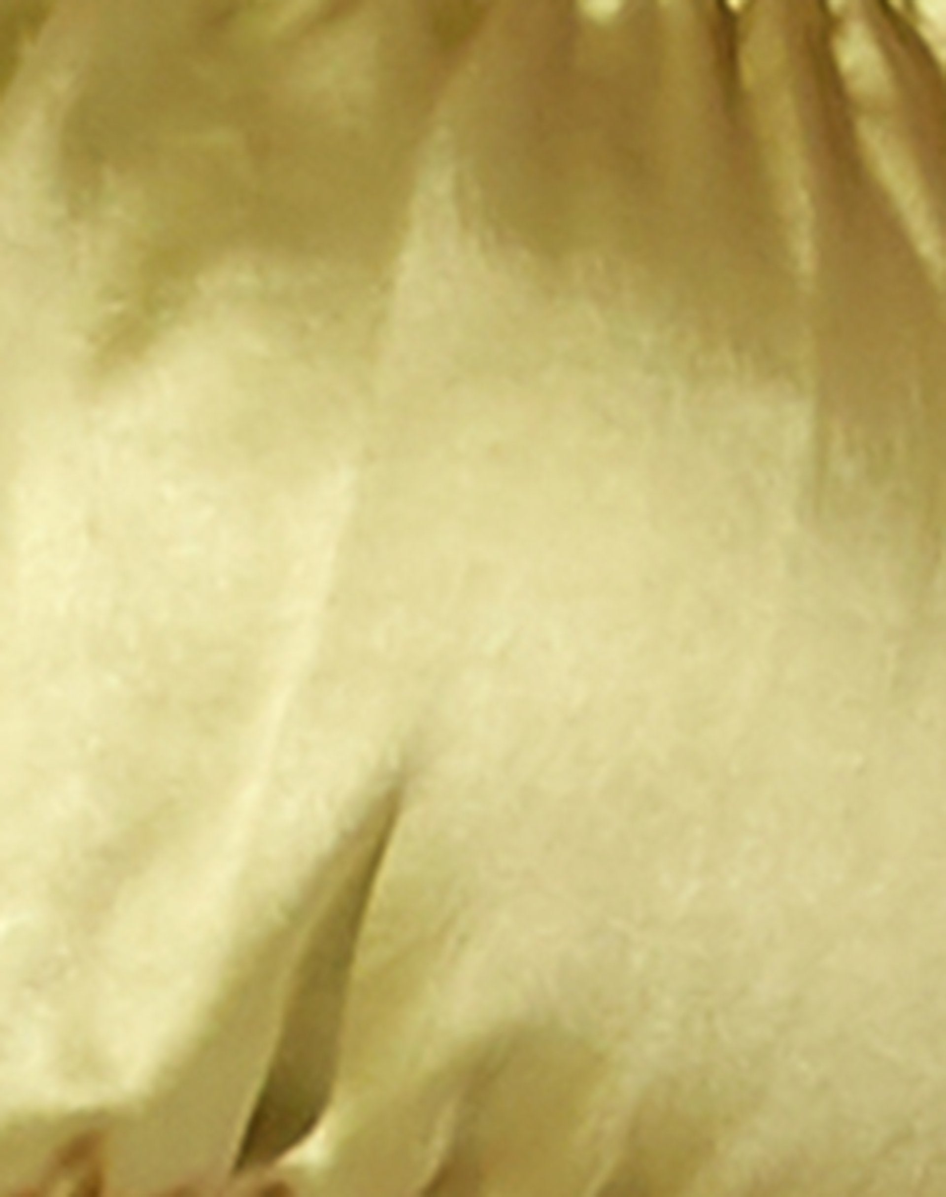 Image de Arona Bralet Top in Satin Nile Green