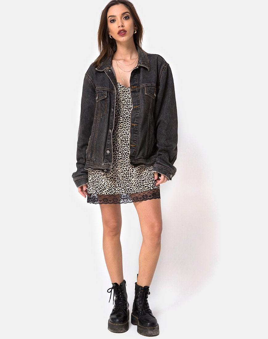 Image of Balace Slip Dress in Rar Leopard with Black Lace