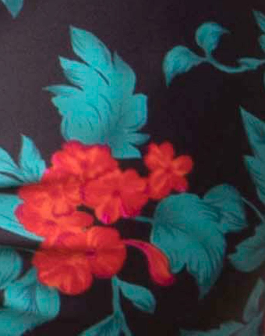 Image de la culotte de bikini Bev Floral Fling
