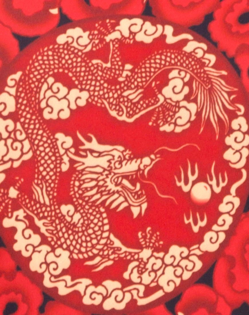 Image de Blaze Swimsuit in Chinese Fire Dragon (Maillot de bain Blaze en dragon de feu chinois)