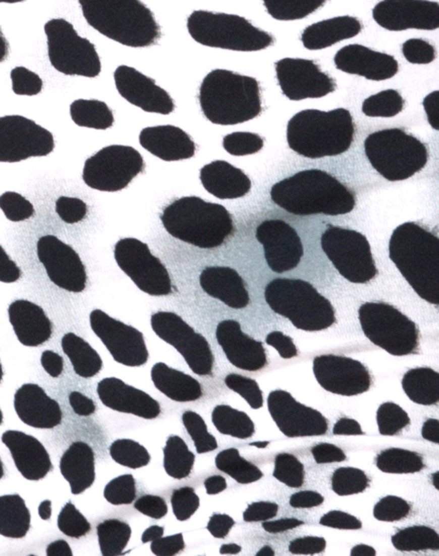 Image du cycle court en dalmatien