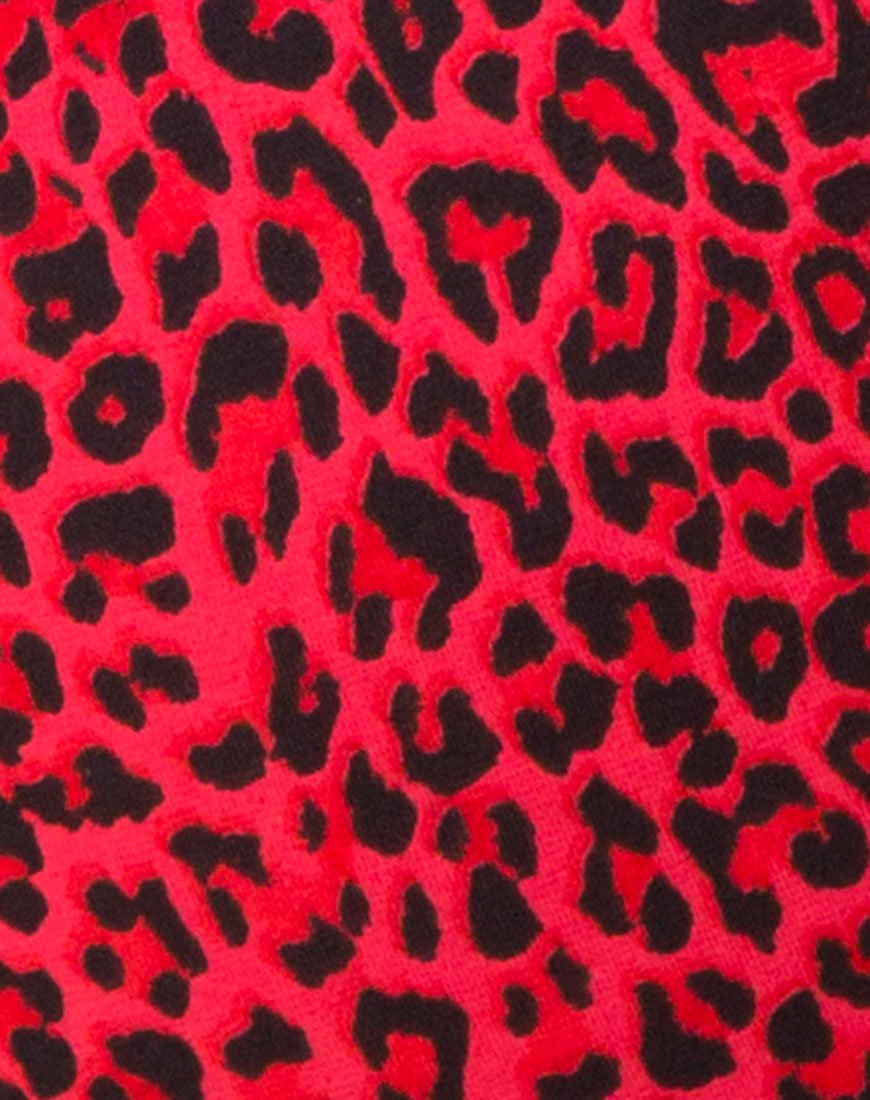 Image du short de vélo en animal coloré
