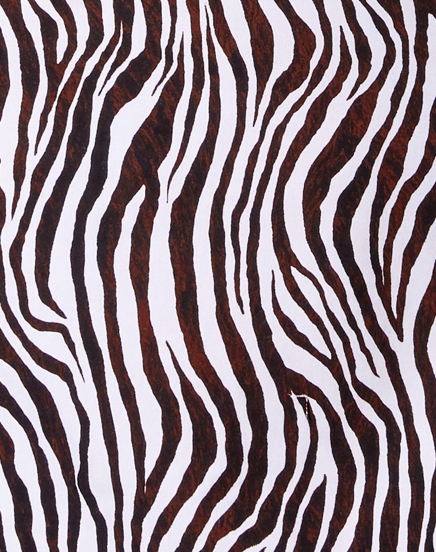 Image de Datista Slip Dress in Zebra Vertical