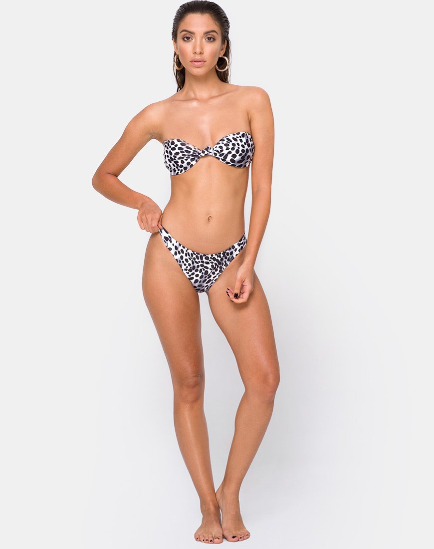 Bas de bikini Dita en dalmatien