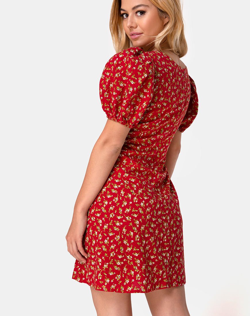 Image de Elfira Dress in Falling for You Floral Red