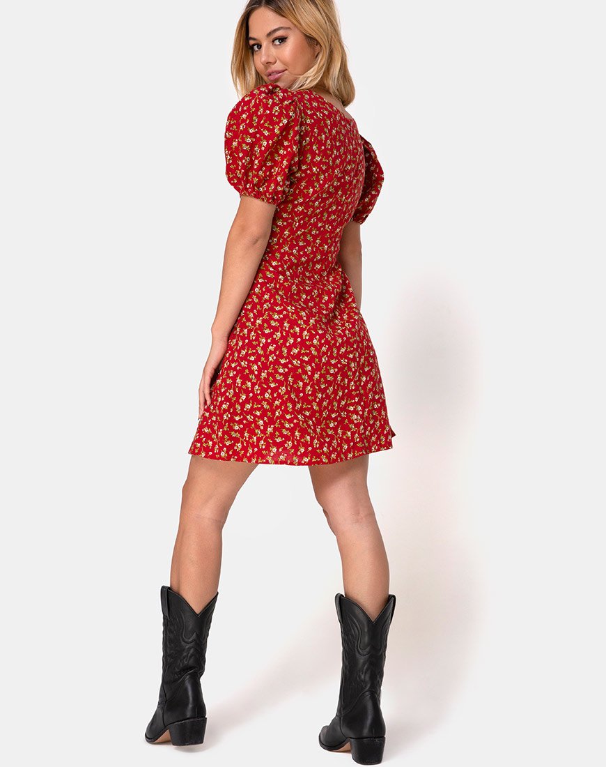 Image de Elfira Dress in Falling for You Floral Red