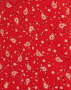 Paisley Fun Rouge