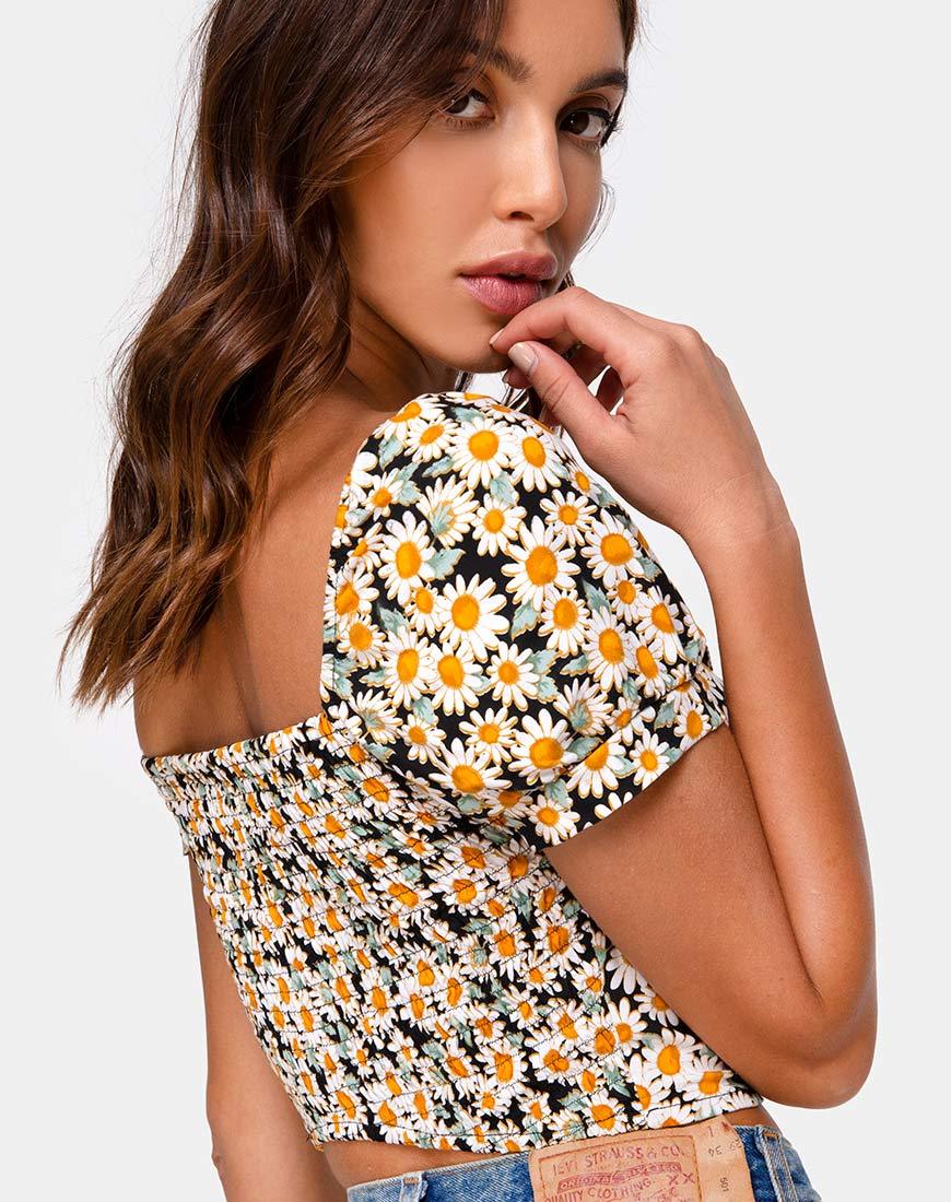 Top Fahrani, Delightful Daisy