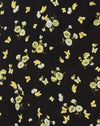 Citron et citron vert noir