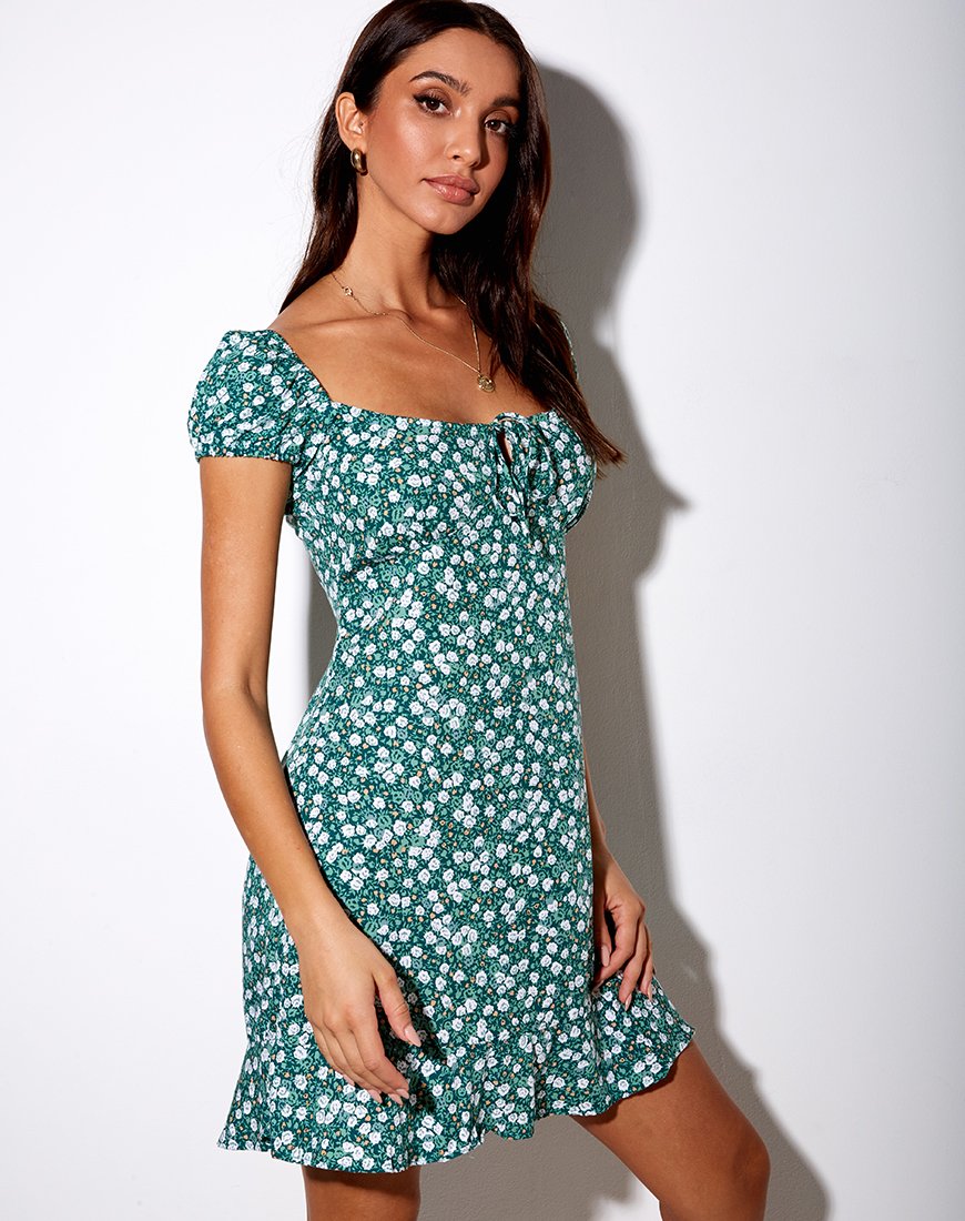 Image of Galaca Mini Dress in Floral Field Green