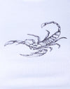 Scorpion blanc