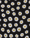  Grunge Daisy Noir