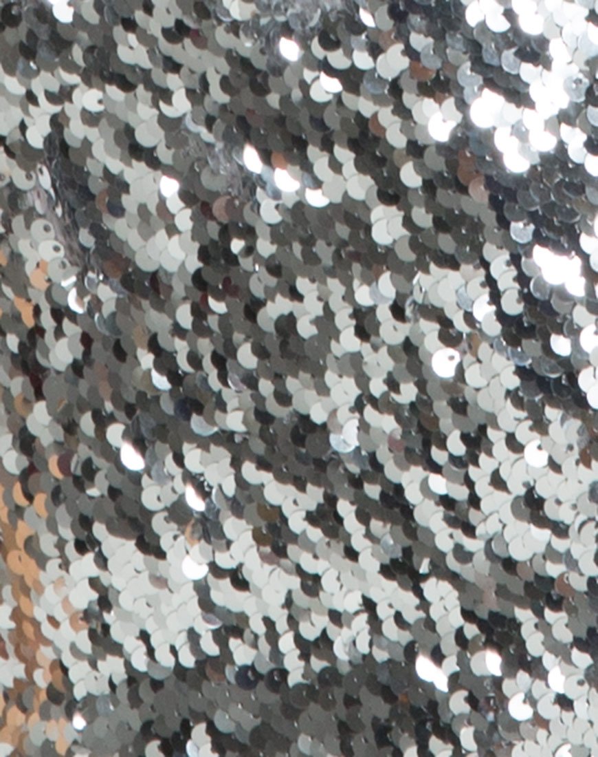 Image de Hedi Dress in Fishcale Sequin Silver
