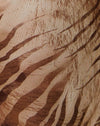  Marron tigré