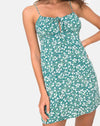 Champ floral vert