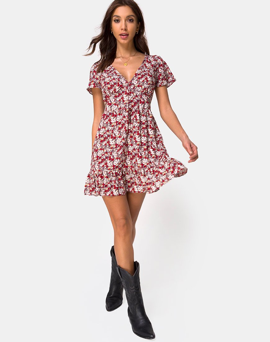 Image of Laily Skater Dress in Floral Charm Red