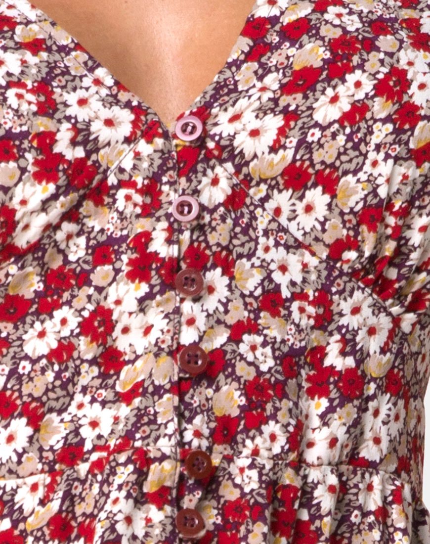 Image of Laily Skater Dress in Floral Charm Red