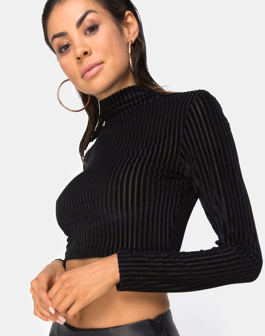 Image de Lara Crop Top in Black Sheer Stripe