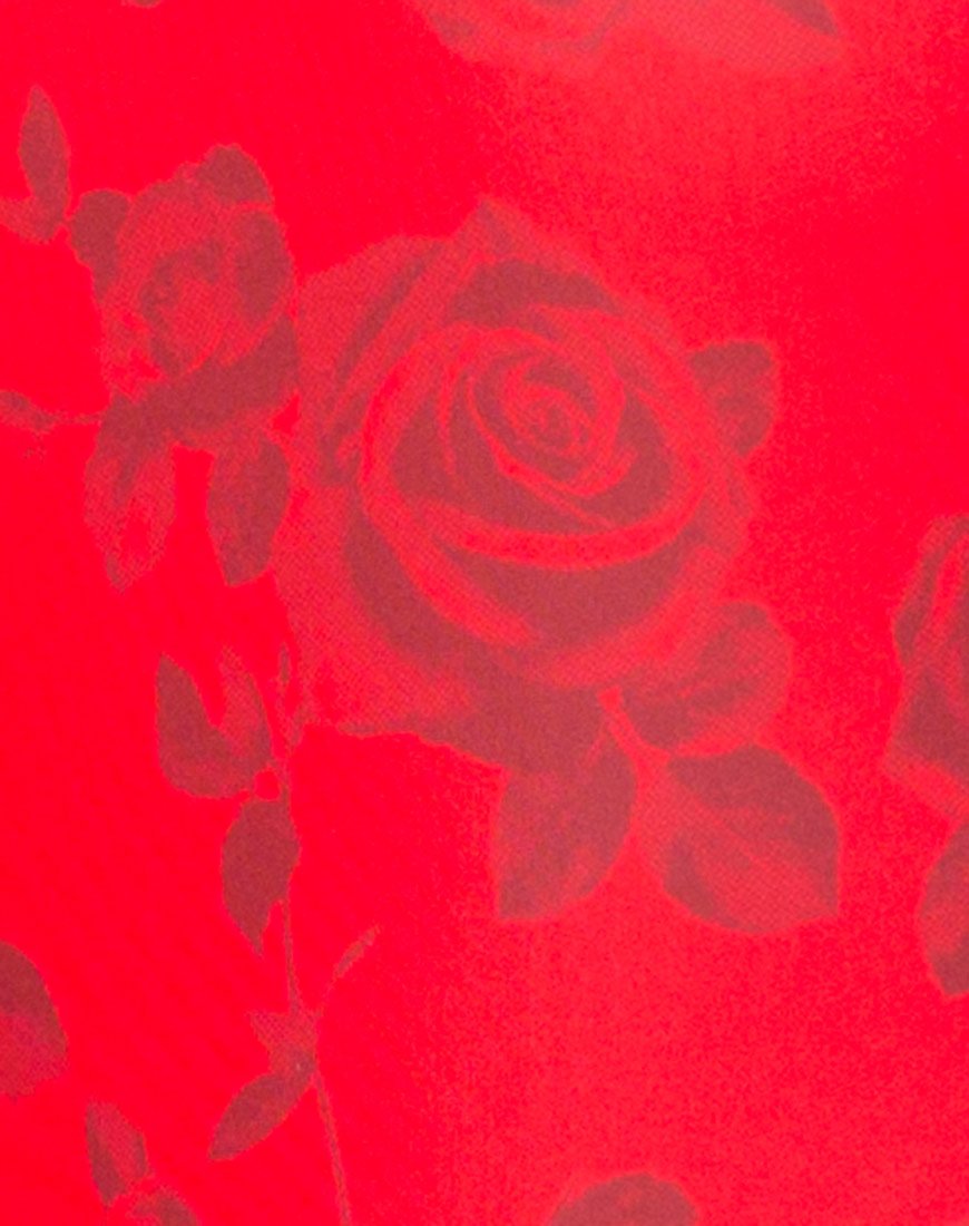 Image de Nadine Swimsuit in Red Roses