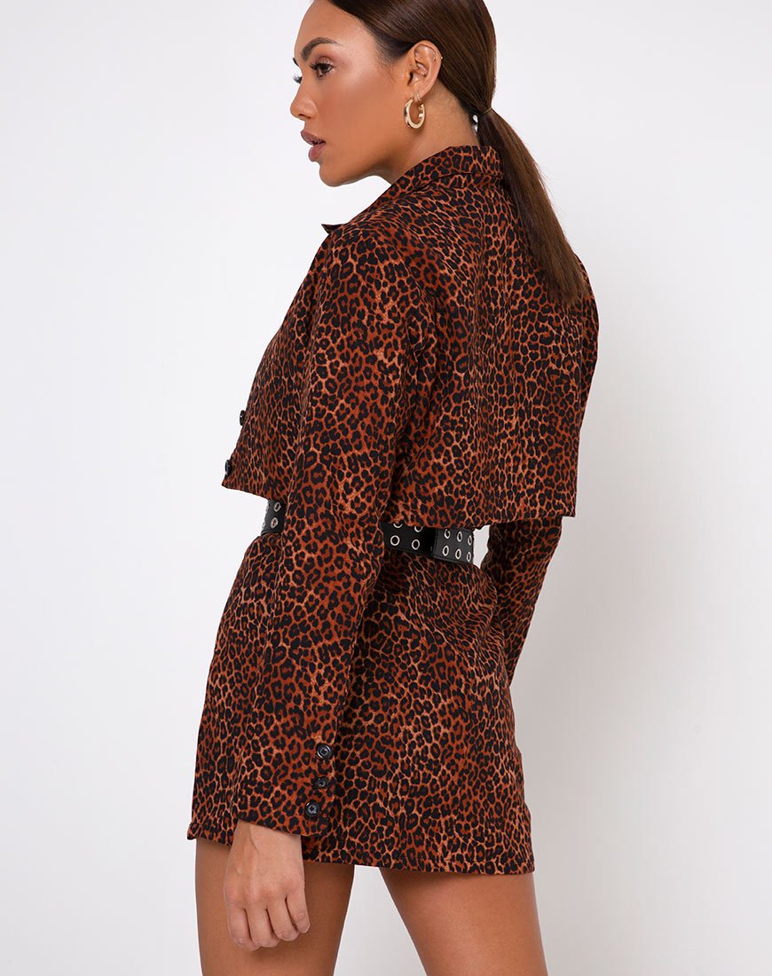 Minijupe Sheny, Ditsy Leopard Orange