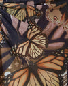  Papillon abstrait or
