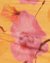  Orchidée floue Pêche
