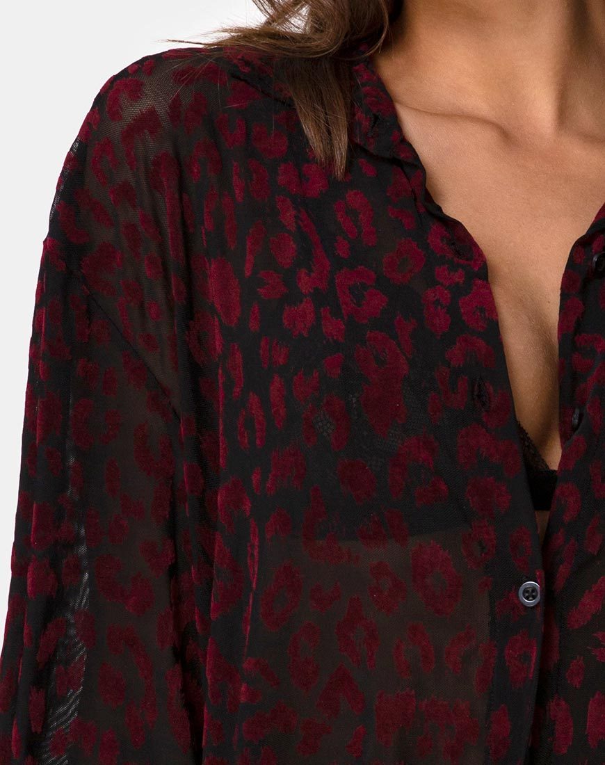 Image de Phobe Shirt in Red Leopard Flock Net