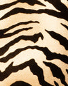 Tigre d'or