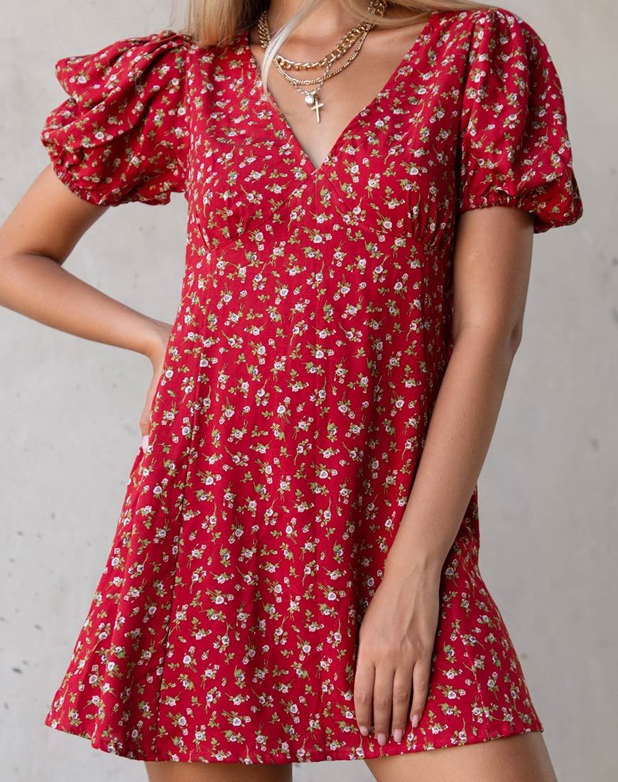 Elfira Dress in Falling for You Floral Red (Robe Elfira en rouge floral)