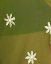  Vert Mousse Custard Daisy Embro