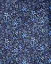 Jardin de fleurs bleu