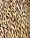 Mini tigre marron