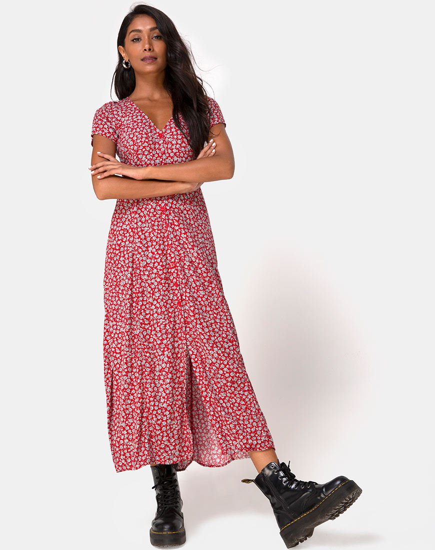 Robe Sanrin en Ditsy Rose Red Silver