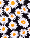 Daisy Love Noir