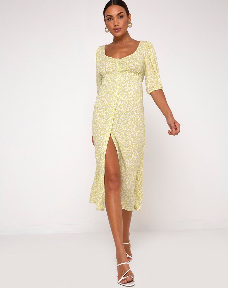 Sula Midi Dress in Crinkle Botanic Mint Foam (Robe midi en mousse)