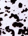 Mini-vacheNoir et blanc