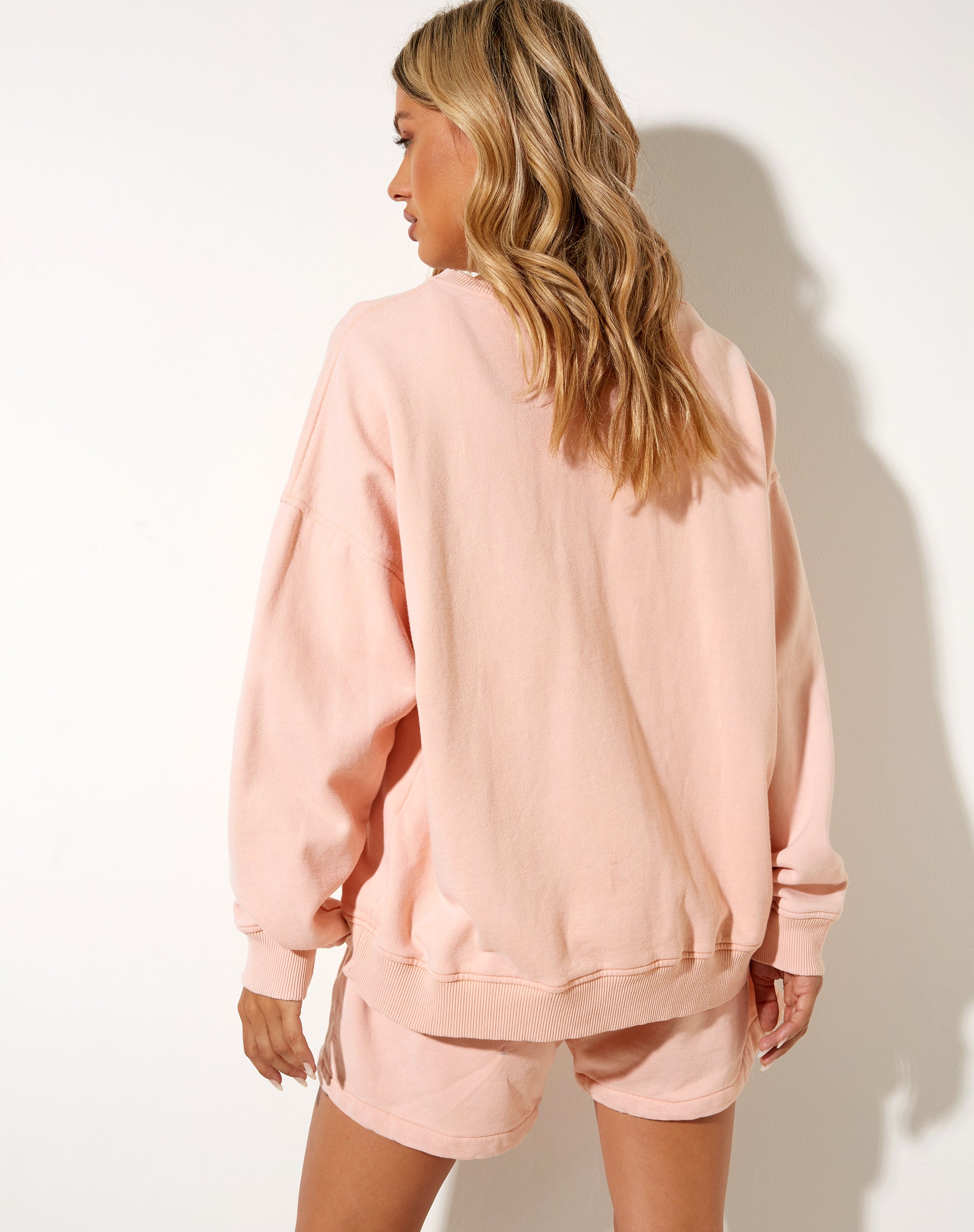 Image de Ted Sweatshirt in Wash Out Peach Mushroom