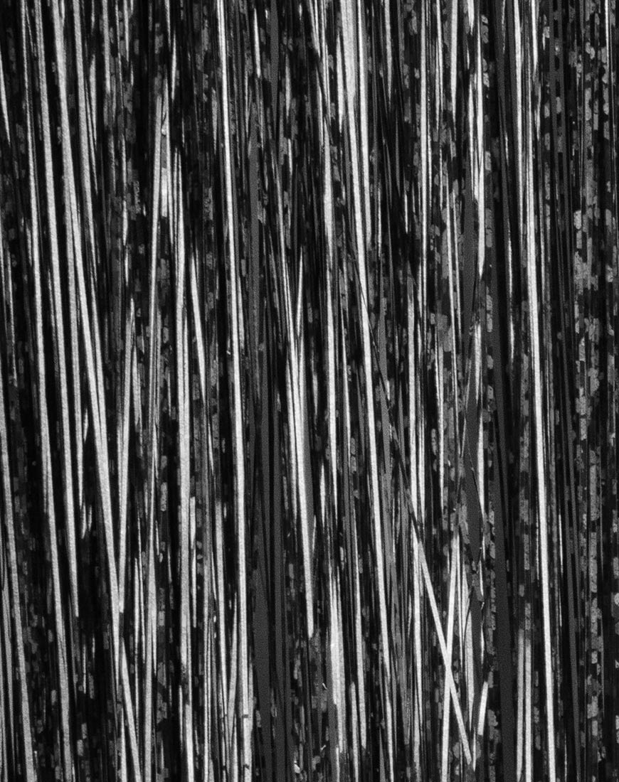 Extension de cheveux Black Tinsel par Shrine