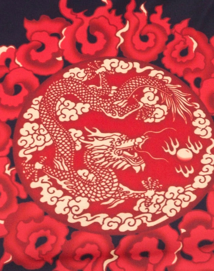 Image de Truman Bikini Top in Chinese Fire Dragon