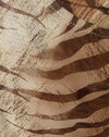  Marron tigré